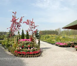 unikāla retu dekoratīvo augu kolekcija