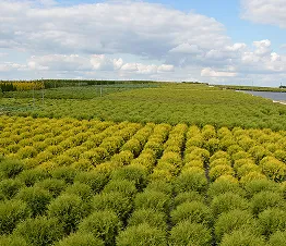mūsdienīgas mašīnas izmantotas augu aprūpē